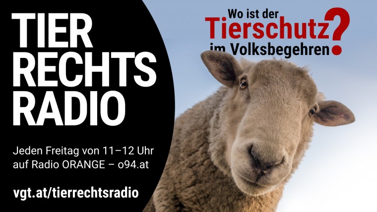 Bild zu dieser Radiosendung