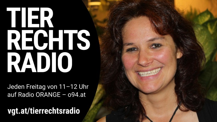 Bild zu dieser Radiosendung