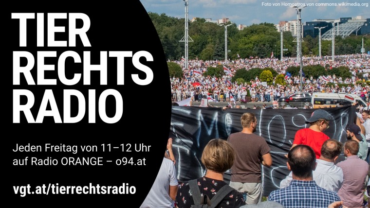 Bild zu dieser Radiosendung