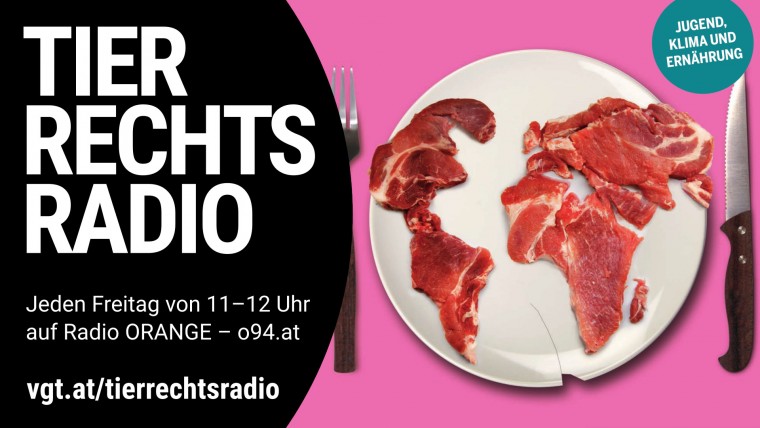 Bild zu dieser Radiosendung