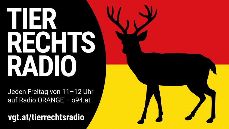 Bild zu dieser Radiosendung