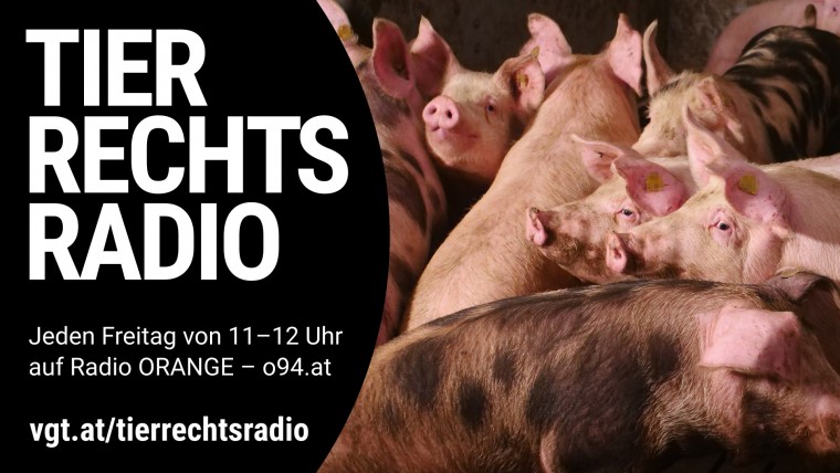 Bild zu dieser Radiosendung