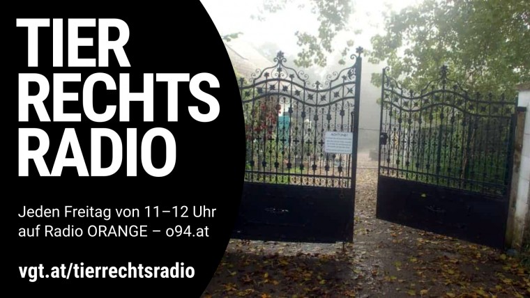 Bild zu dieser Radiosendung