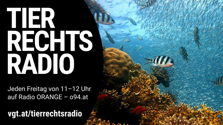 Bild zu dieser Radiosendung