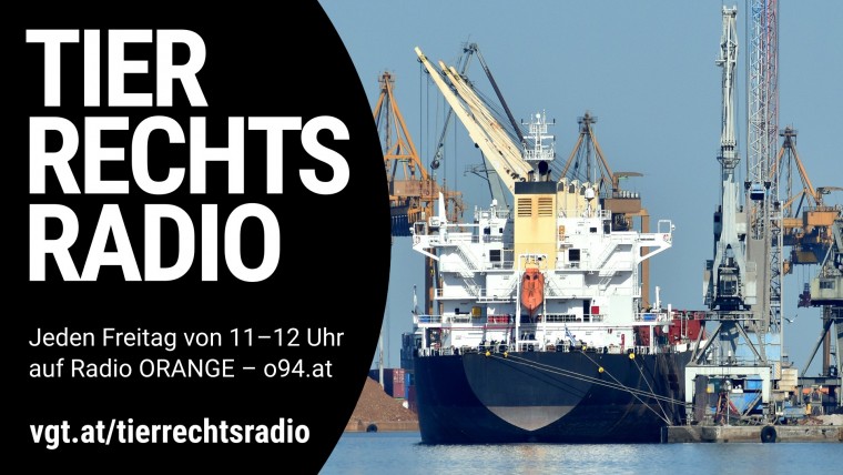 Bild zu dieser Radiosendung