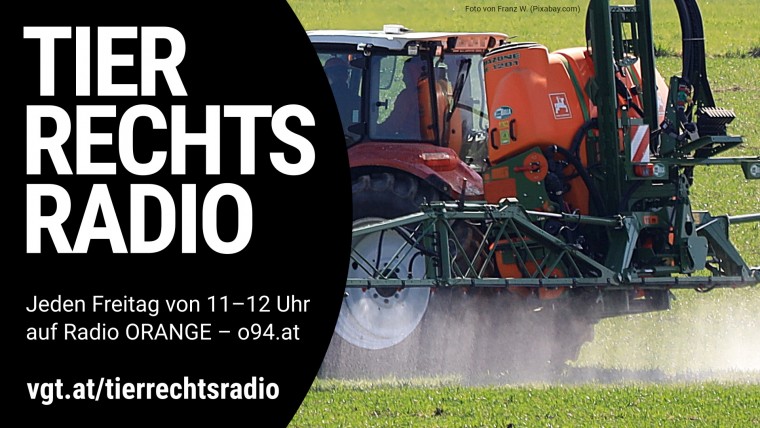 Bild zu dieser Radiosendung