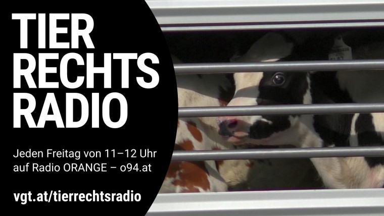 Bild zu dieser Radiosendung