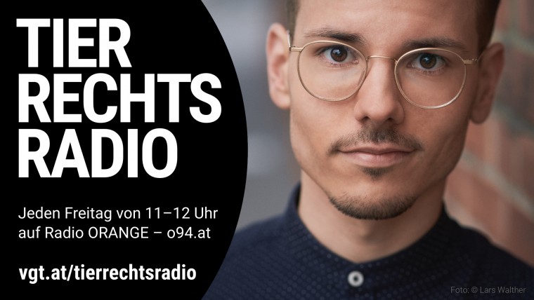Bild zu dieser Radiosendung