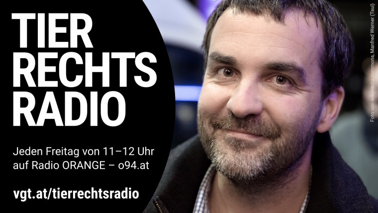 Bild zu dieser Radiosendung