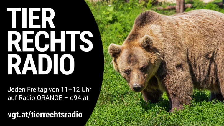 Bild zu dieser Radiosendung