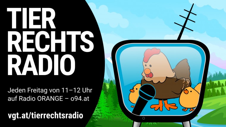 Bild zu dieser Radiosendung