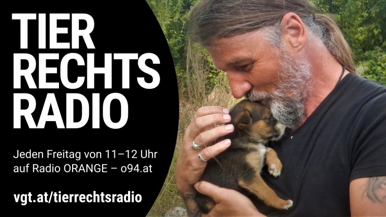 Bild zu dieser Radiosendung