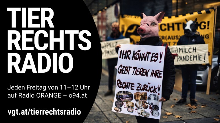 Bild zu dieser Radiosendung