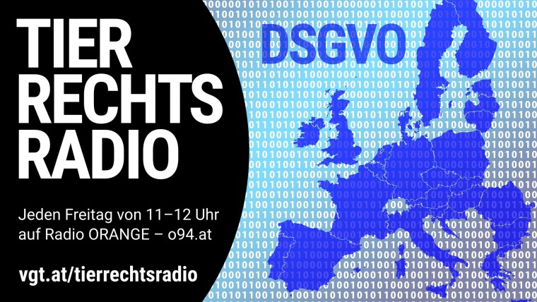 Bild zu dieser Radiosendung