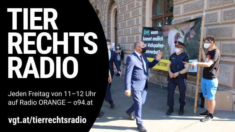 Bild zu dieser Radiosendung