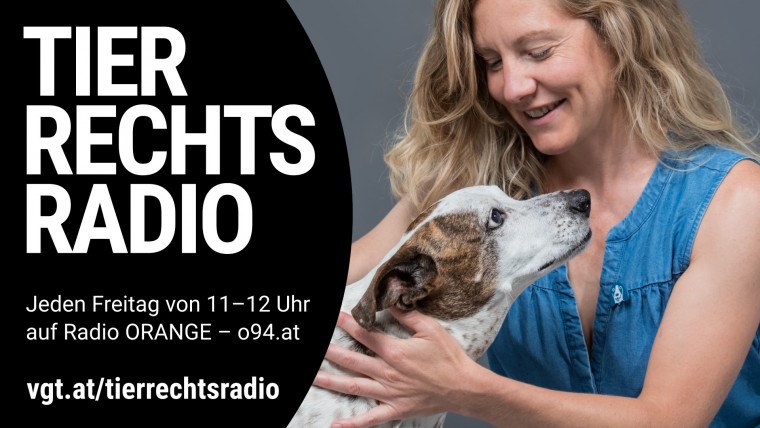 Bild zu dieser Radiosendung