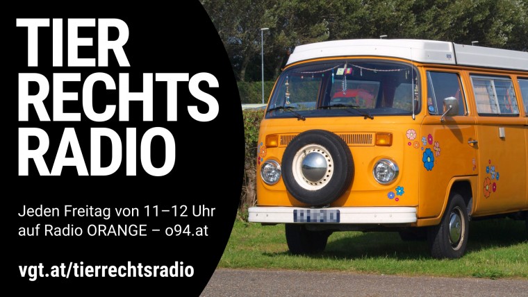 Bild zu dieser Radiosendung