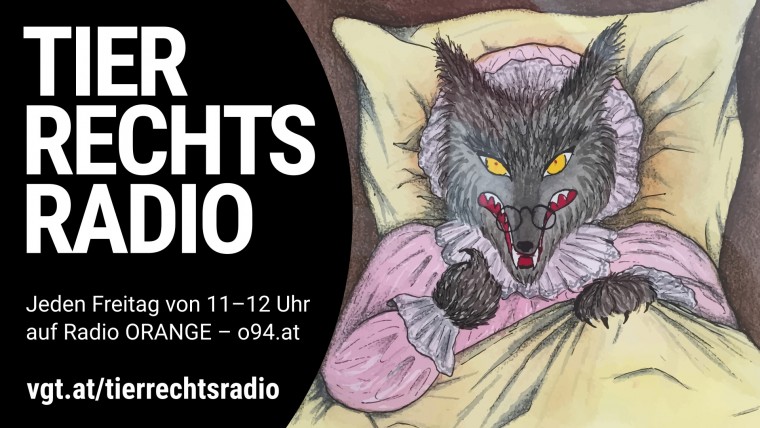 Bild zu dieser Radiosendung