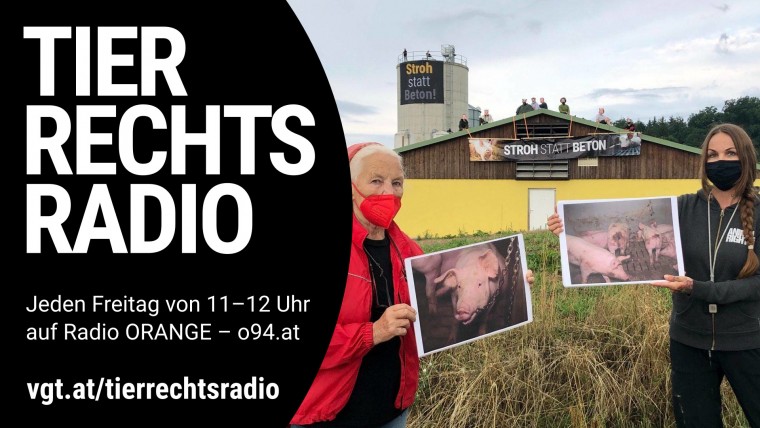 Bild zu dieser Radiosendung