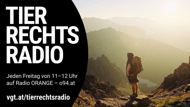Bild zu dieser Radiosendung