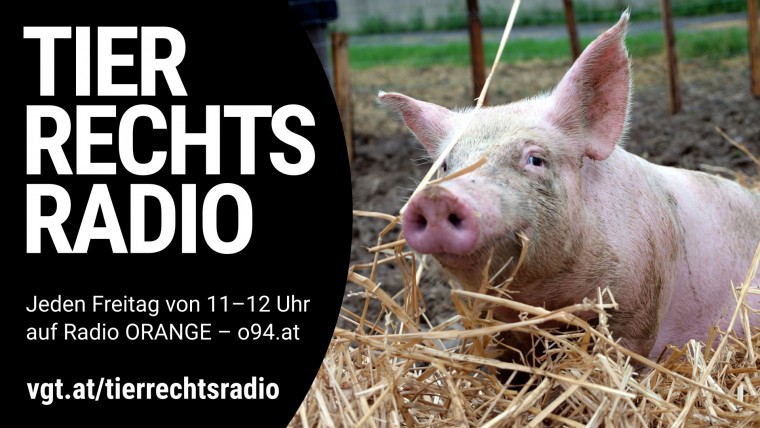 Bild zu dieser Radiosendung