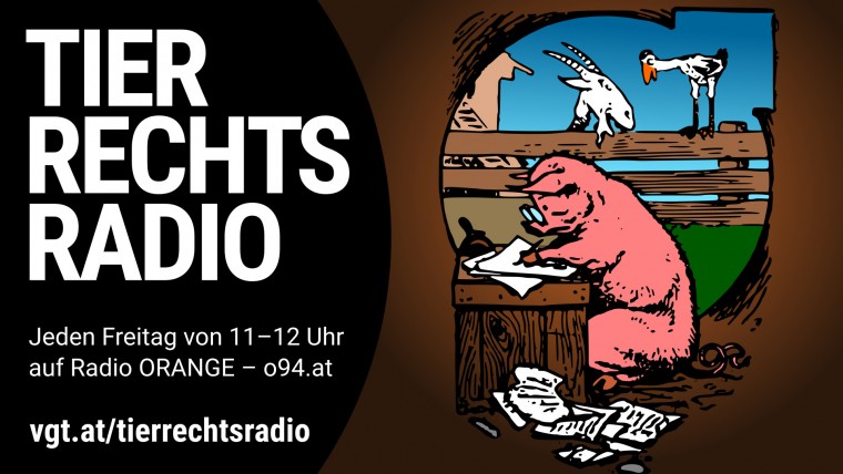 Bild zu dieser Radiosendung