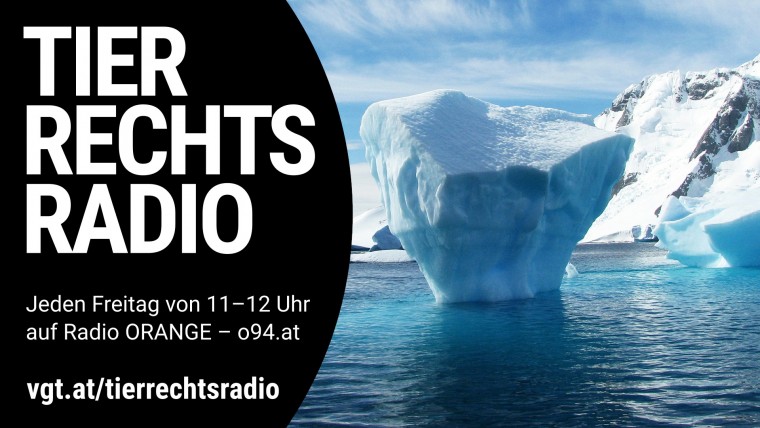 Bild zu dieser Radiosendung