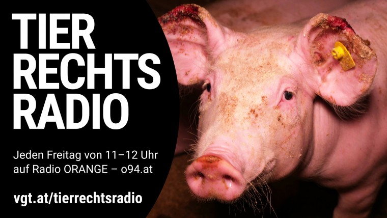Bild zu dieser Radiosendung