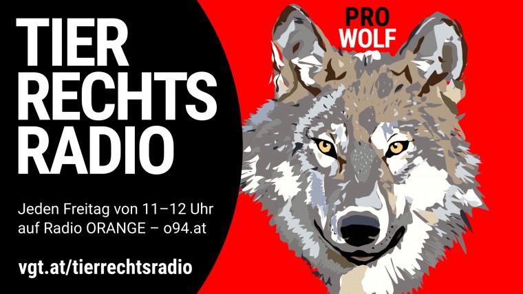 Bild zu dieser Radiosendung