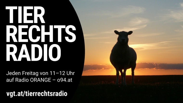 Bild zu dieser Radiosendung