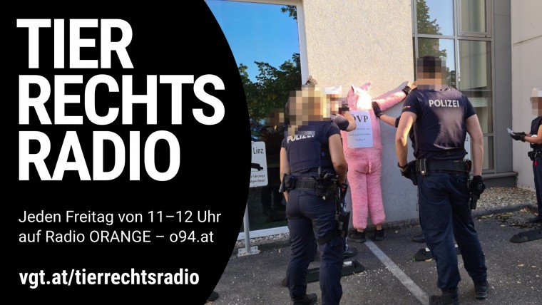 Bild zu dieser Radiosendung