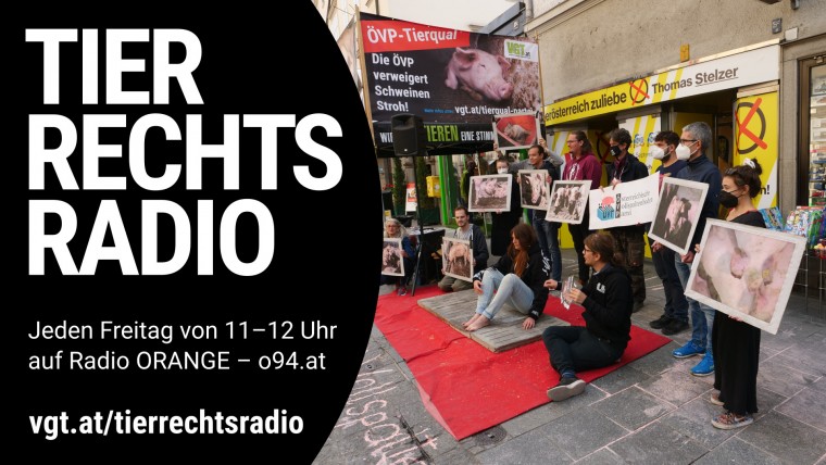Bild zu dieser Radiosendung