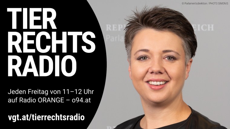 Bild zu dieser Radiosendung