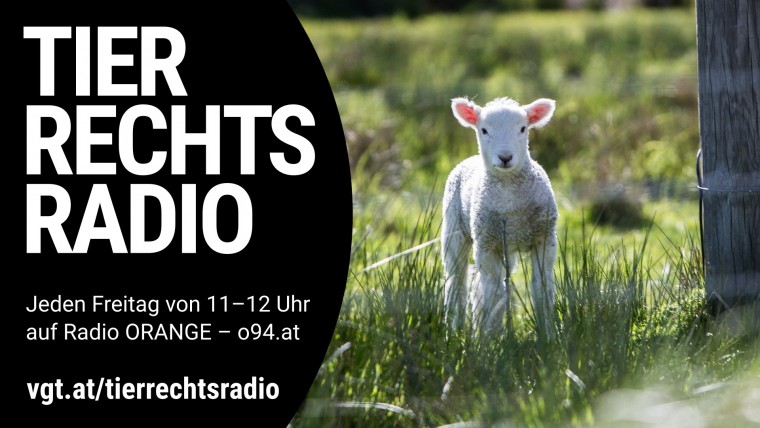 Bild zu dieser Radiosendung