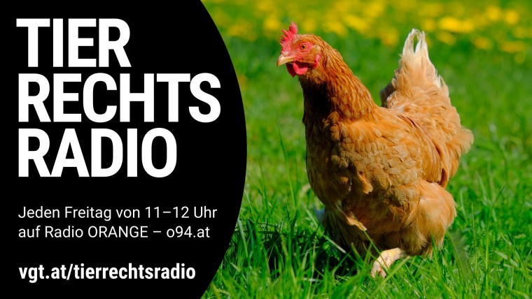 Bild zu dieser Radiosendung