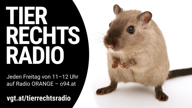 Bild zu dieser Radiosendung
