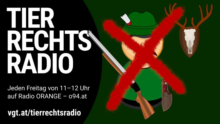 Bild zu dieser Radiosendung
