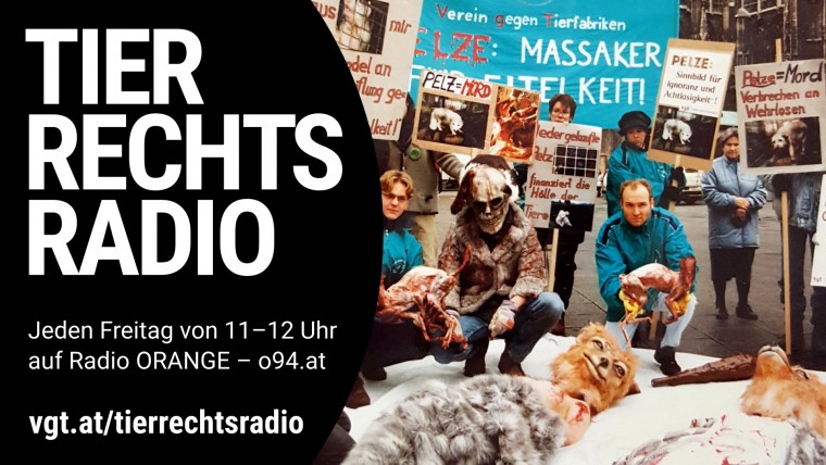 Bild zu dieser Radiosendung