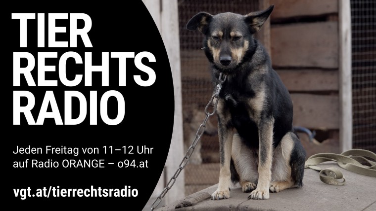 Bild zu dieser Radiosendung