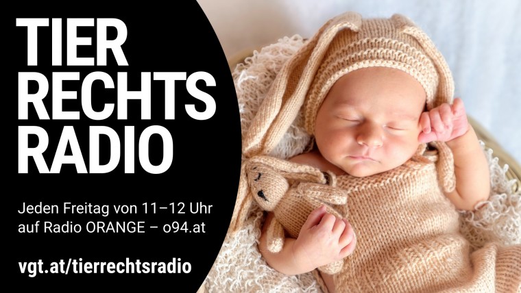 Bild zu dieser Radiosendung