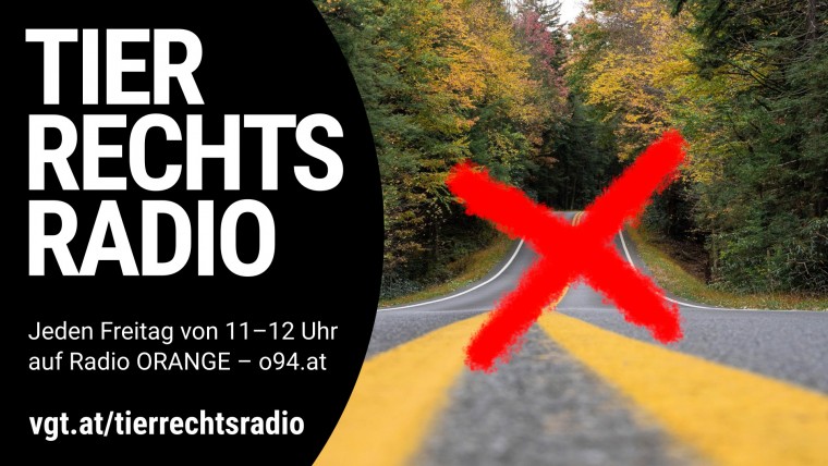 Bild zu dieser Radiosendung