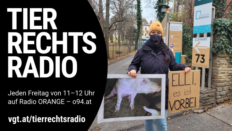 Bild zu dieser Radiosendung
