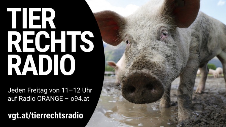 Bild zu dieser Radiosendung