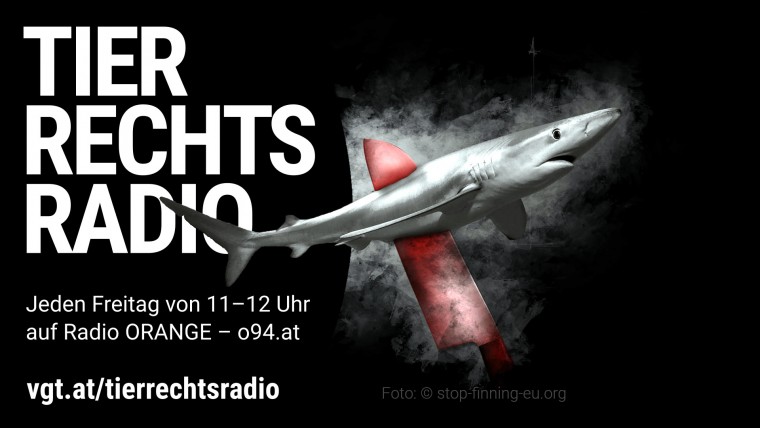 Bild zu dieser Radiosendung