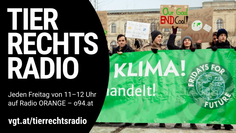 Bild zu dieser Radiosendung