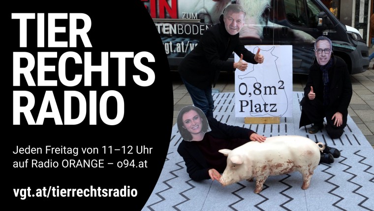 Bild zu dieser Radiosendung