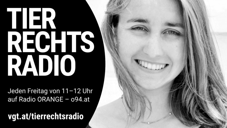Bild zu dieser Radiosendung