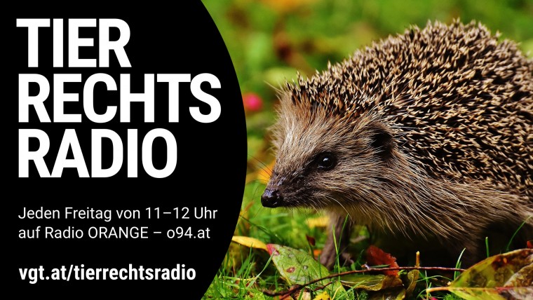 Bild zu dieser Radiosendung