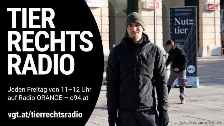 Bild zu dieser Radiosendung