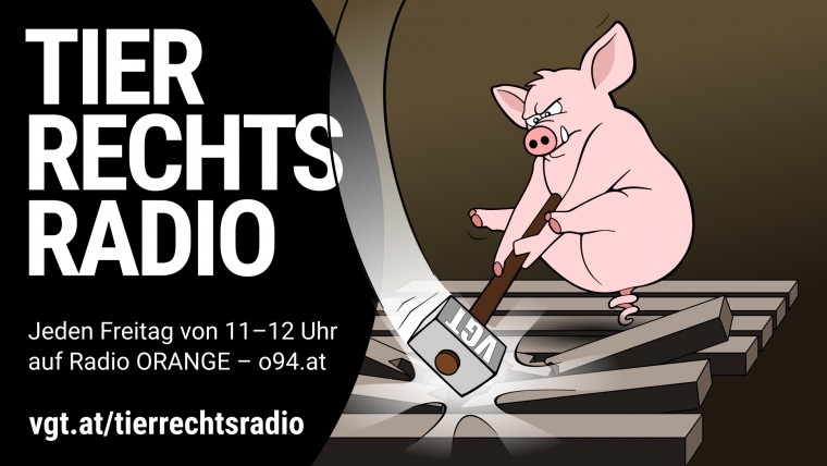 Bild zu dieser Radiosendung